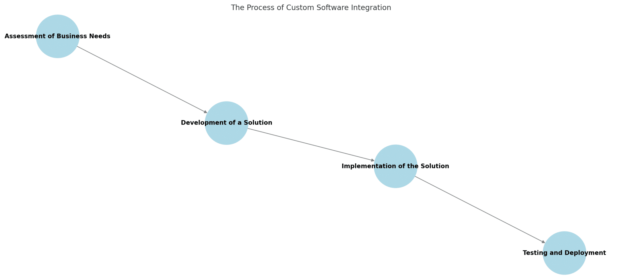 custom software integration process